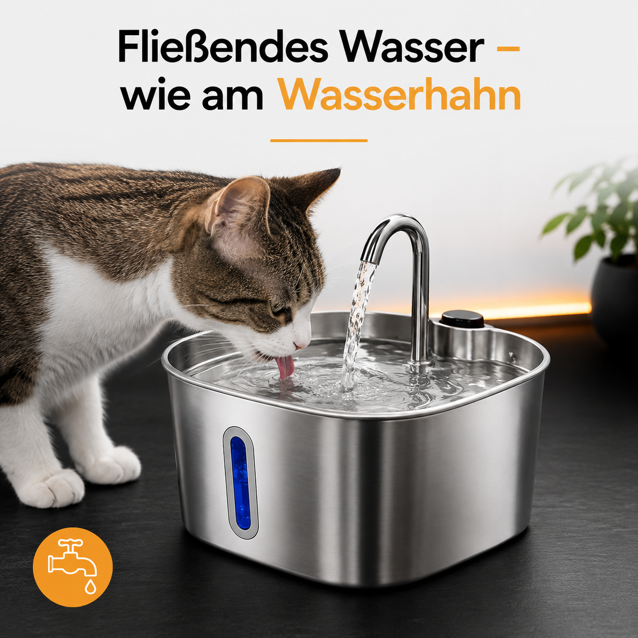 Schnurrbrunnen + Filterset