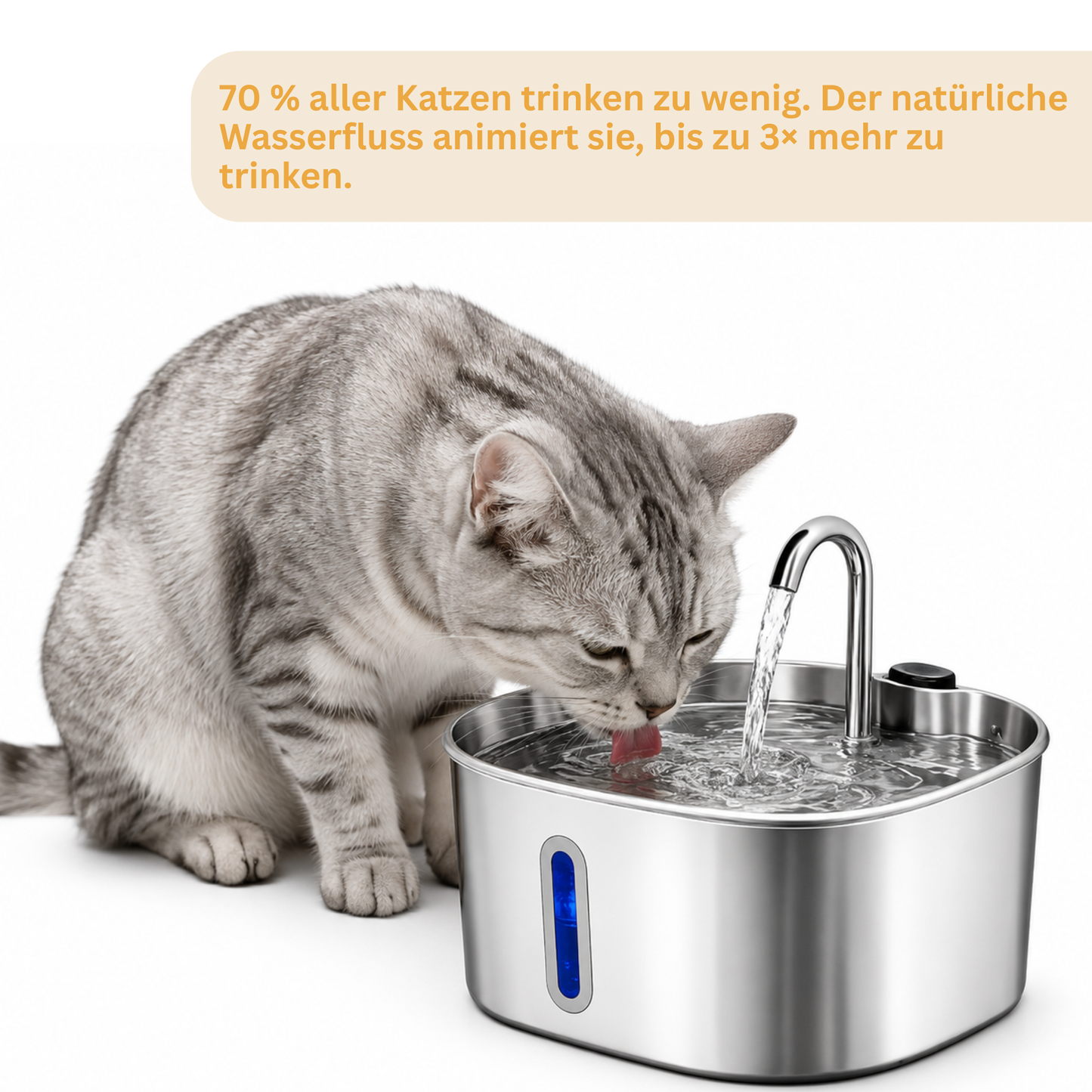 Schnurrbrunnen + Filterset
