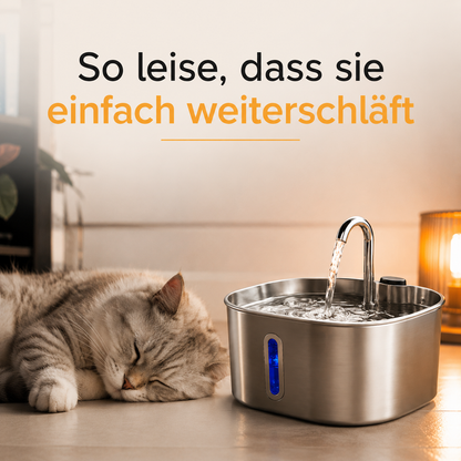 Schnurrbrunnen + Filterset