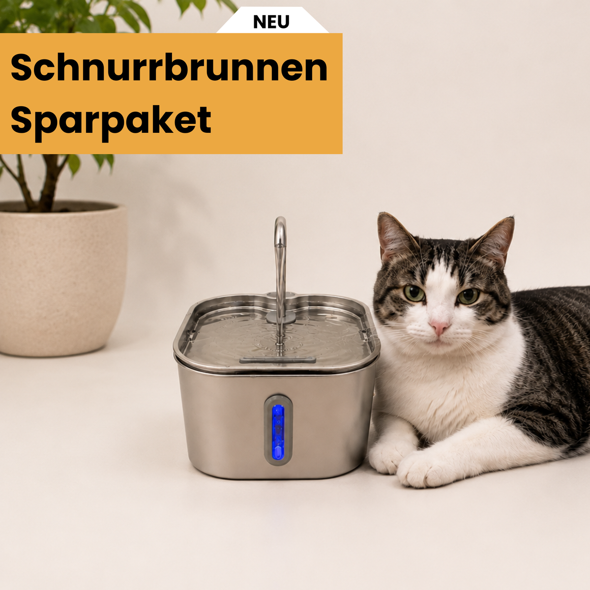 Bewegtes Wasser, Edelstahl und echte Filterung — damit deine Katze wieder trinkt